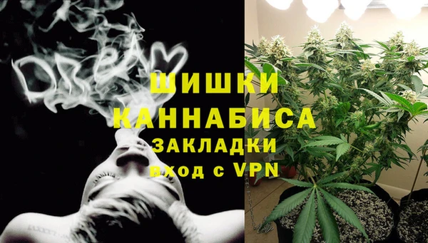 PSILOCYBIN Верхний Тагил