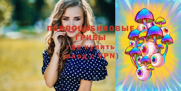 первитин Володарск