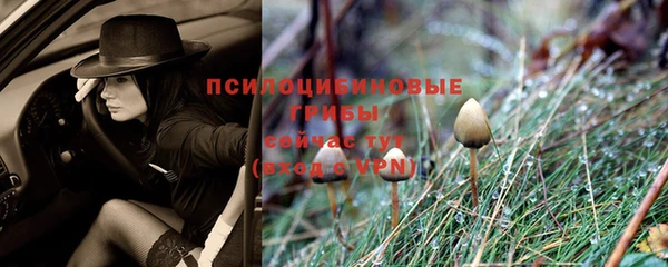 первитин Володарск